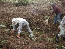 座禅草の生息する里山を保全