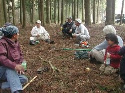 座禅草の生息する里山を保全