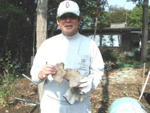 那須の天然水のキノコと軍鶏