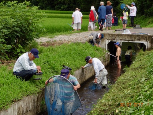 生態系 生き物調査