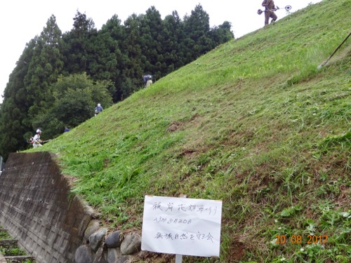 彼岸花土手下草刈り