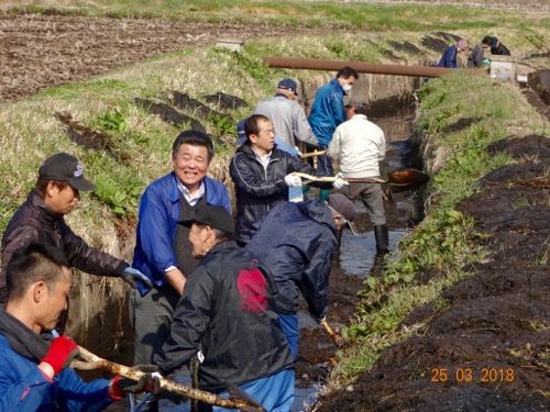 越堀用水路清掃