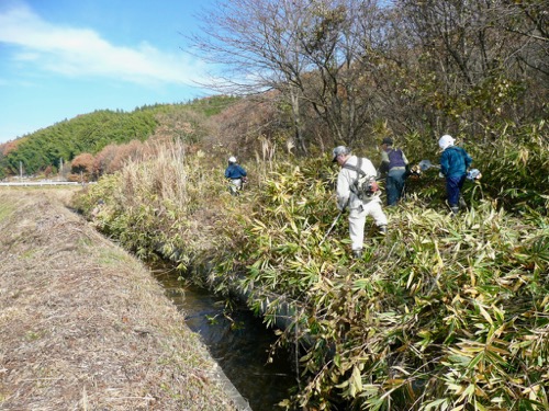 用水路周辺 畦畔土手の草刈り