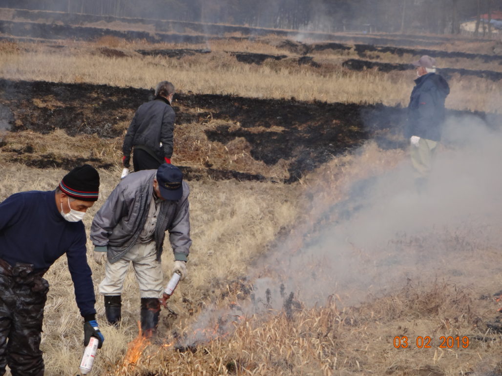 平成31年2月 畦畔土手草焼き、用水路周辺下草刈り